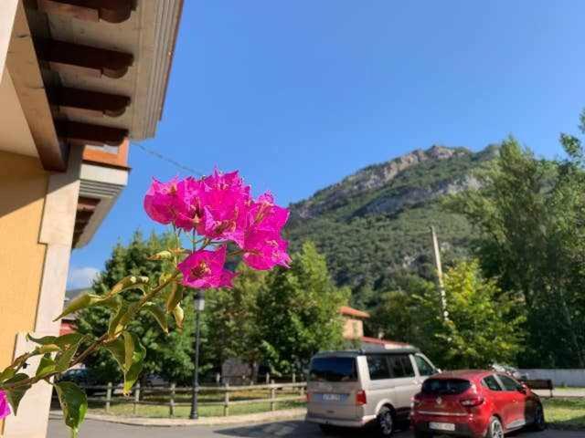 Cumbres De Los Picos Apartamento Buhos Poo  エクステリア 写真